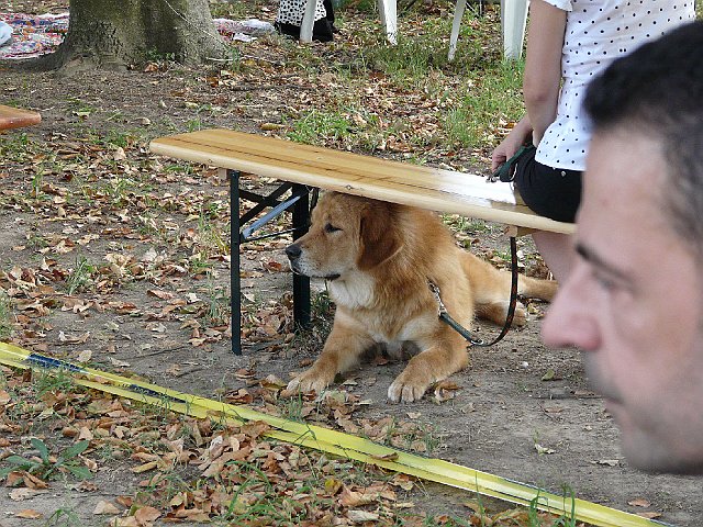 img 146.jpg